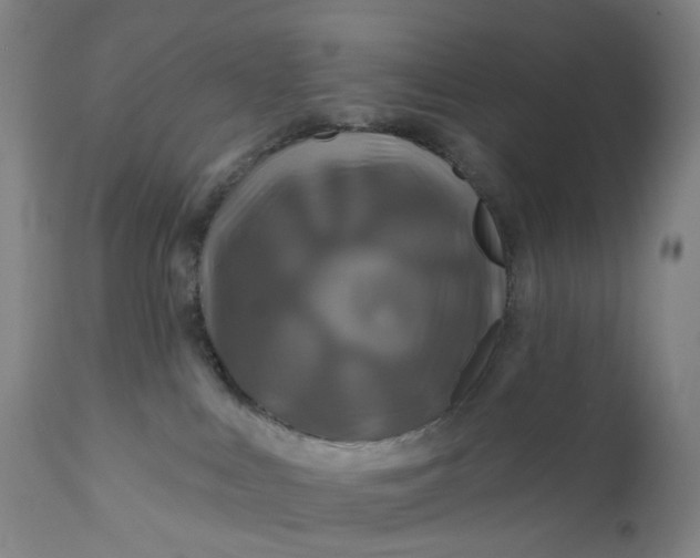 X0000111200043200907151424