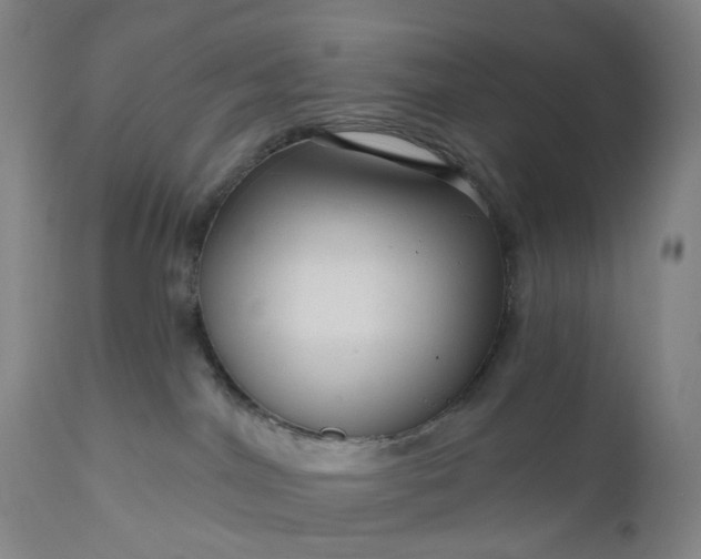 X0000111200044200907151424