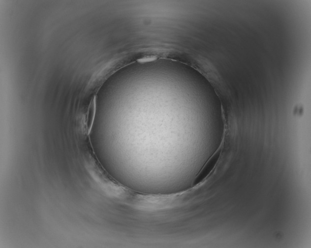 X0000111200045200907151424