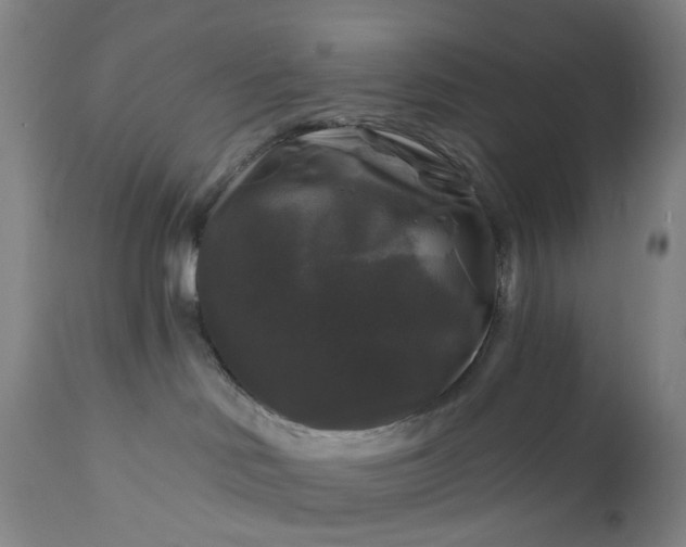 X0000111200046200907151424