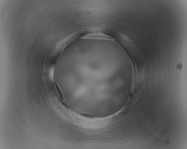 X0000111200047200907151424