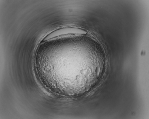 X0000111200049200907151423