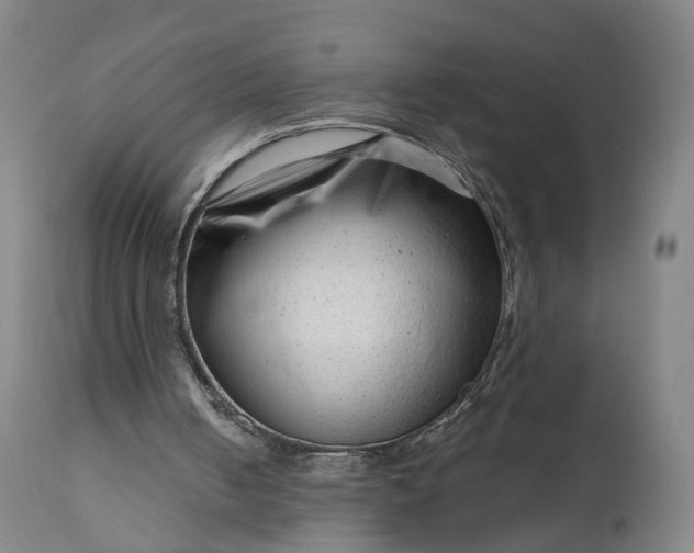 X0000111200050200907151423