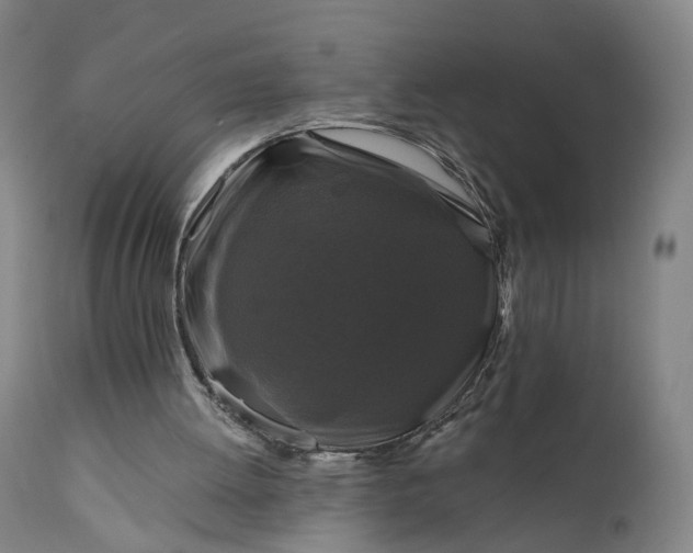 X0000111200052200907151423