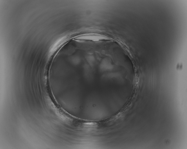 X0000111200053200907151423