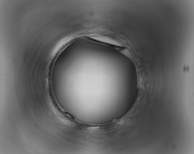 X0000111200054200907151424