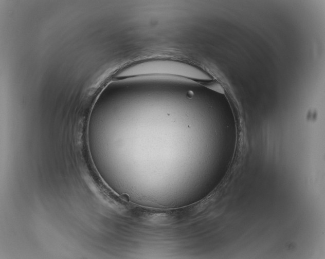 X0000111200058200907151424