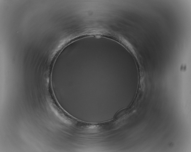 X0000111200059200907151424