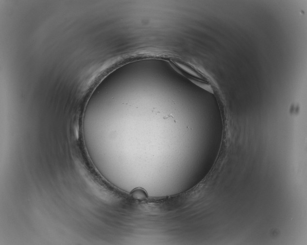 X0000111200062200907151424