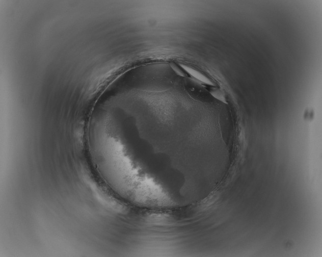 X0000111200066200907151424