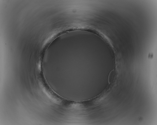 X0000111200067200907151424