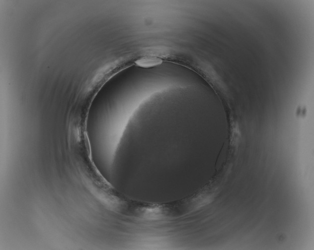 X0000111200068200907151424