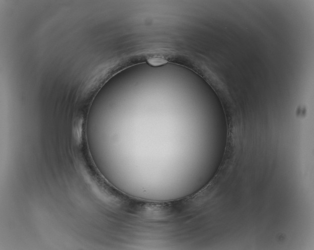 X0000111200070200907151424