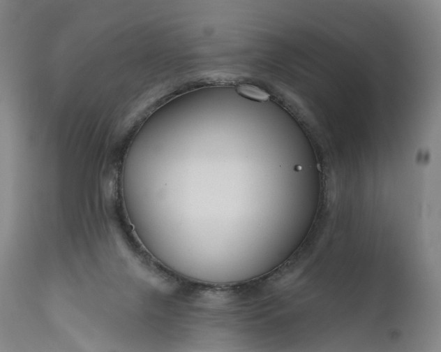 X0000111200071200907151424