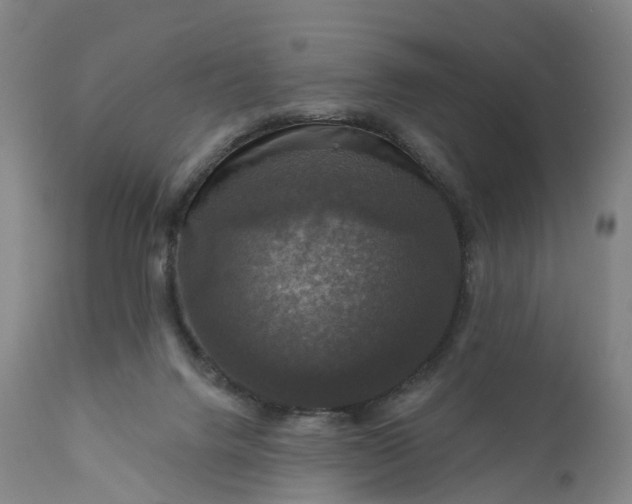 X0000111200072200907151424