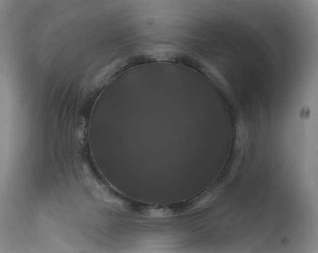 X0000111200073200907151424