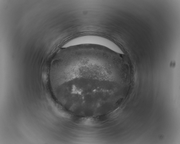 X0000111200074200907151424