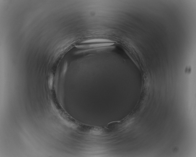 X0000111200076200907151424