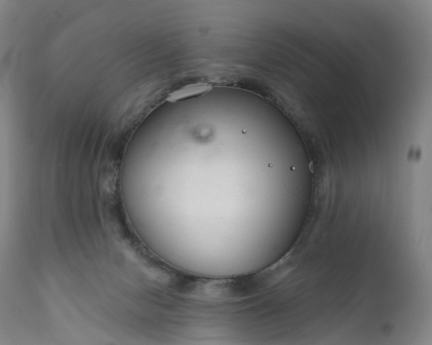 X0000111200078200907151424