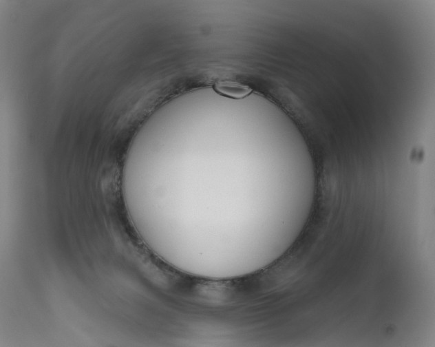 X0000111200079200907151424