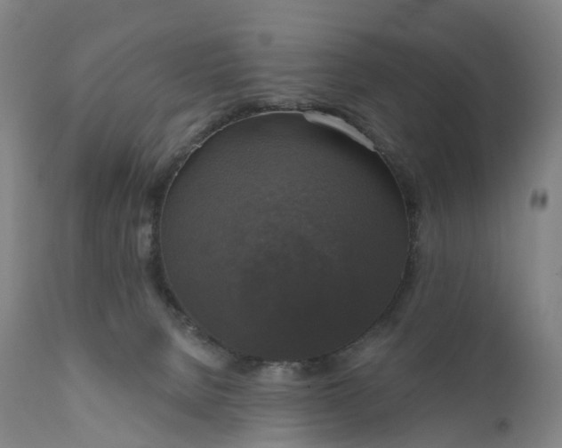 X0000111200080200907151424