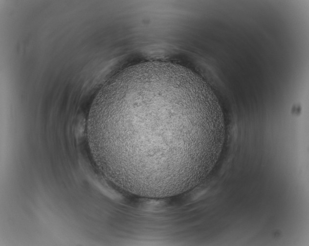 X0000111200081200907151424