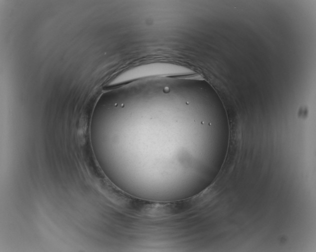 X0000111200082200907151424