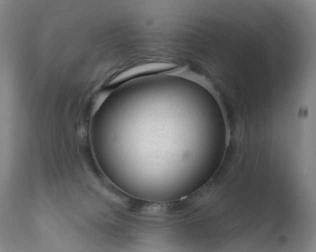 X0000111200084200907151424