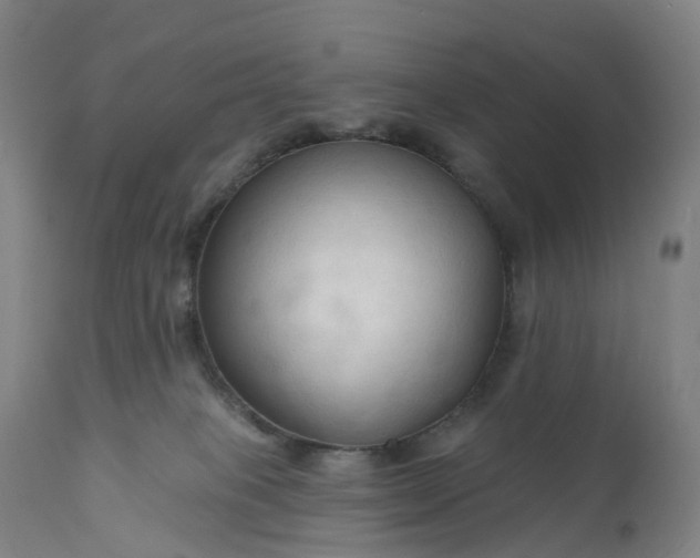 X0000111200085200907151424