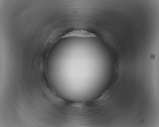 X0000111200086200907151424