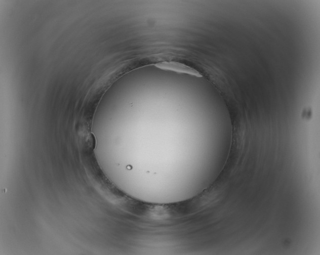 X0000111200091200907151424