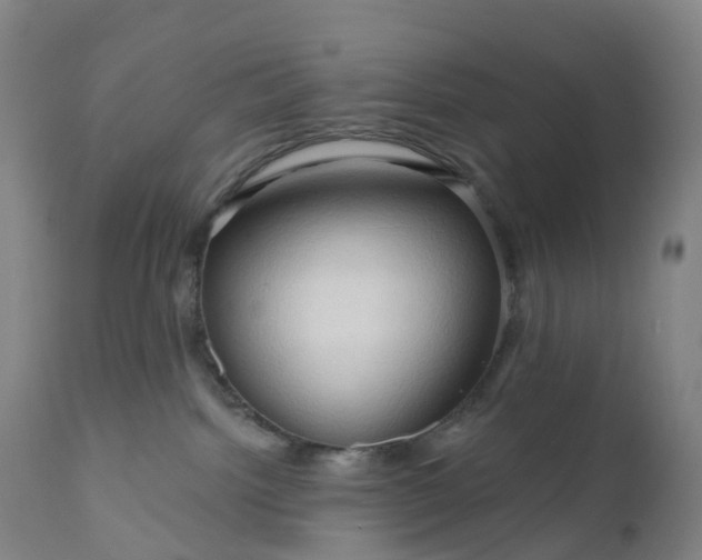 X0000111200092200907151424