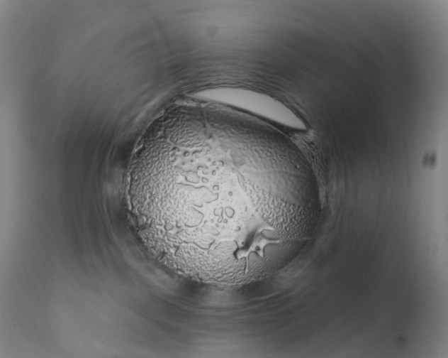 X0000111200093200907151424