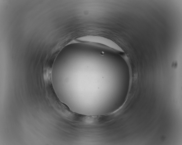 X0000111200094200907151424