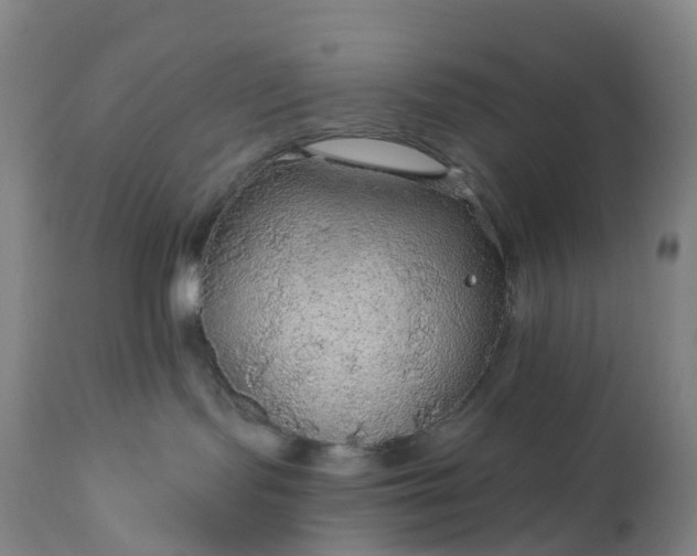 X0000111200095200907151424