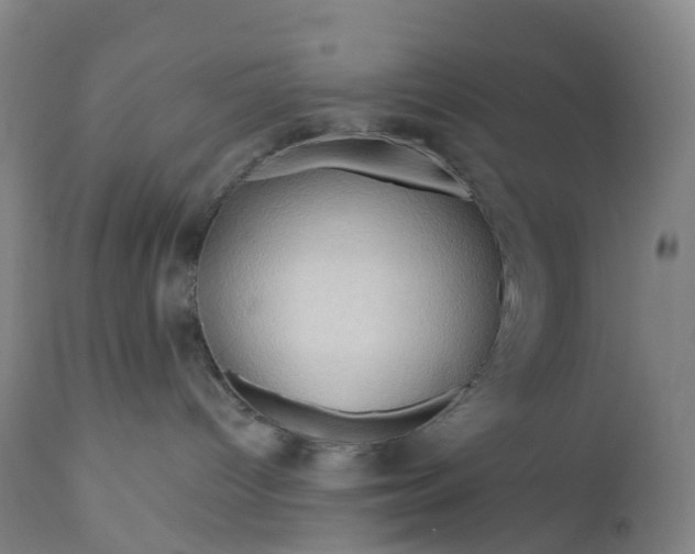 X0000111200096200907151424