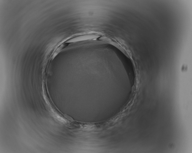 X0000111200097200907151423