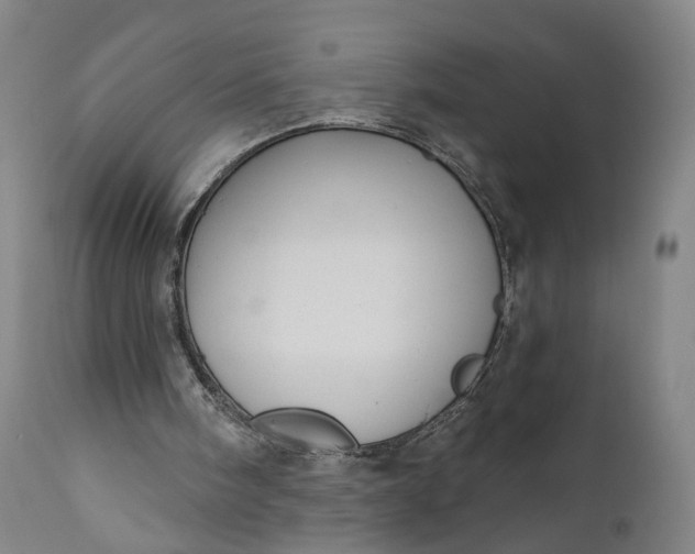 X0000111200098200907151423