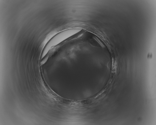 X0000111200099200907151423