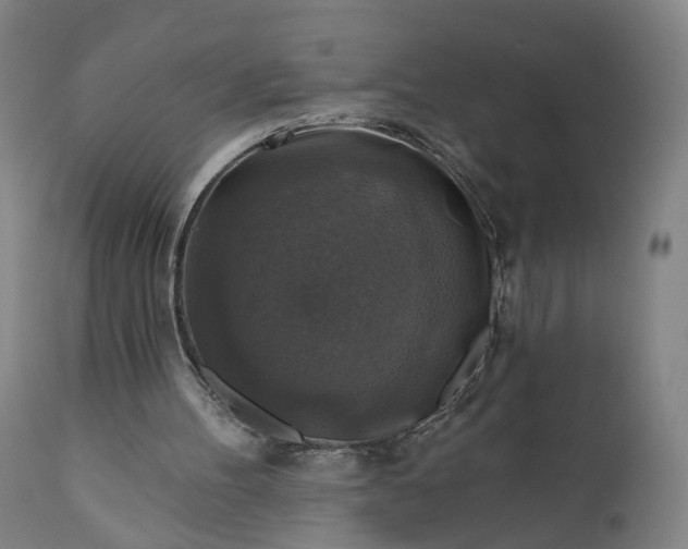 X0000111200100200907151423