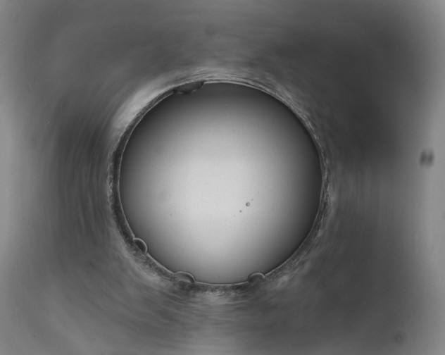 X0000111200103200907151423