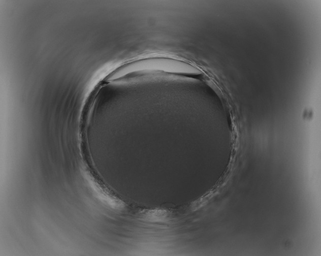 X0000111200104200907151423