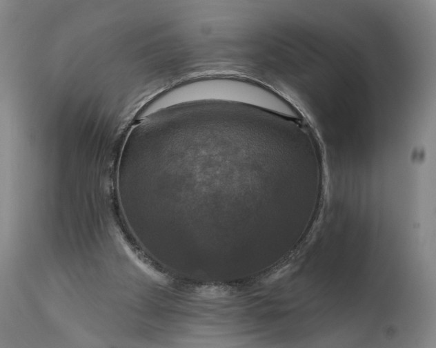 X0000111200105200907151423