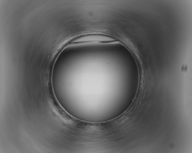 X0000111200107200907151423