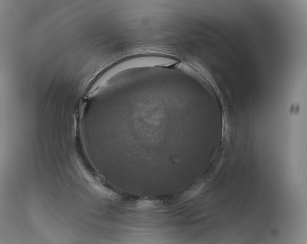 X0000111200109200907151423