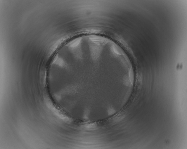 X0000111200110200907151423