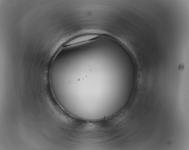 X0000111200111200907151423