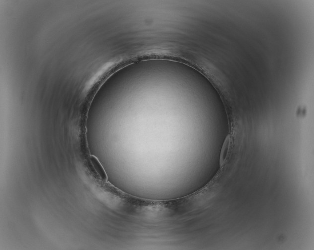 X0000111200112200907151423