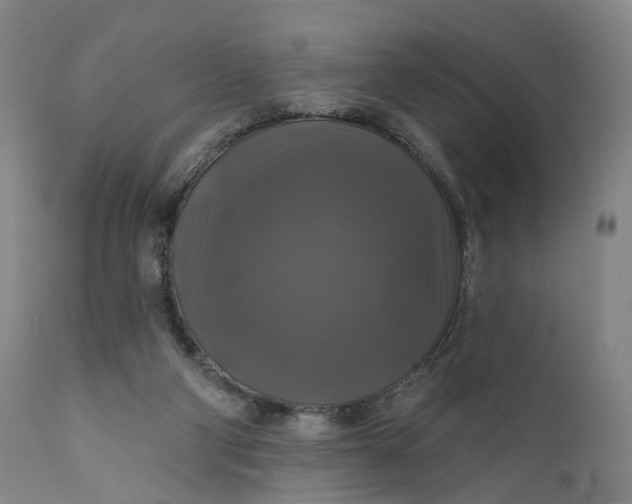 X0000111200114200907151423