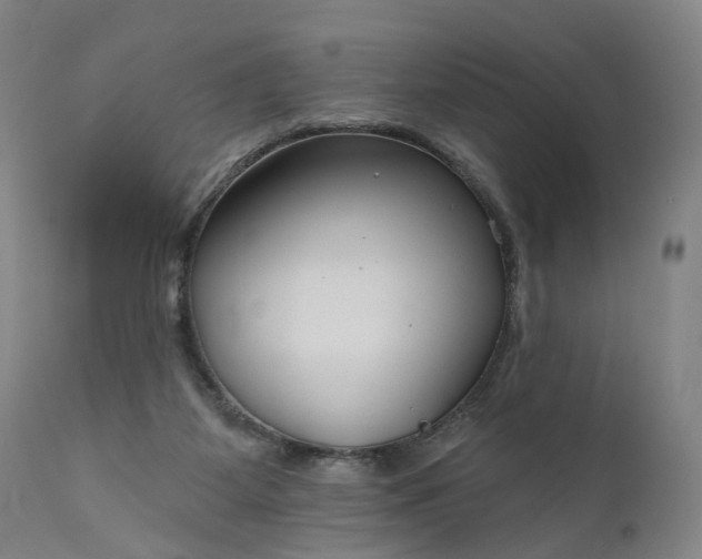 X0000111200115200907151423